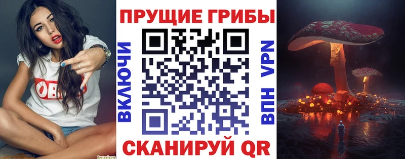 Псилоцибиновые грибы Cubensis Рошаль