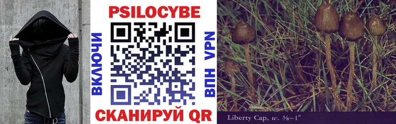 Псилоцибиновые грибы Psilocybe  где купить наркоту  Рошаль 