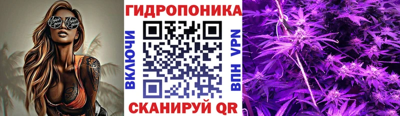 Шишки марихуана сатива  даркнет сайт  Рошаль 